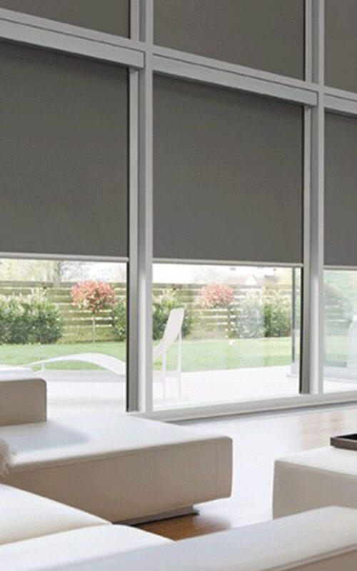 immagine 1024px 1024px